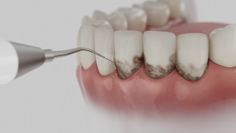 Reliable Dental contractor in Indian Trail, NC by Dentist Open Now